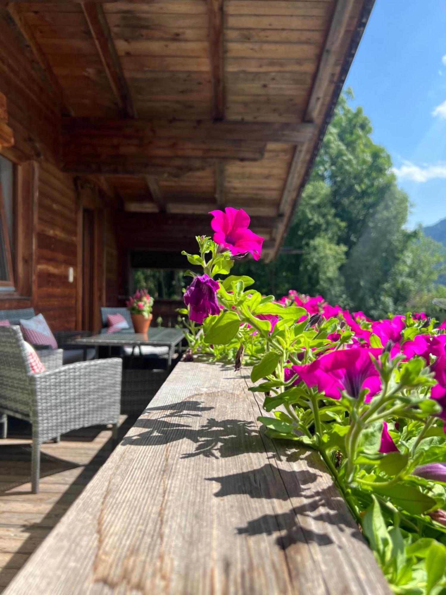 Ferienwohnung Gamsbock Panorama View Balkon, Gartensauna, Garten, Grillplatz Stumm Exteriör bild